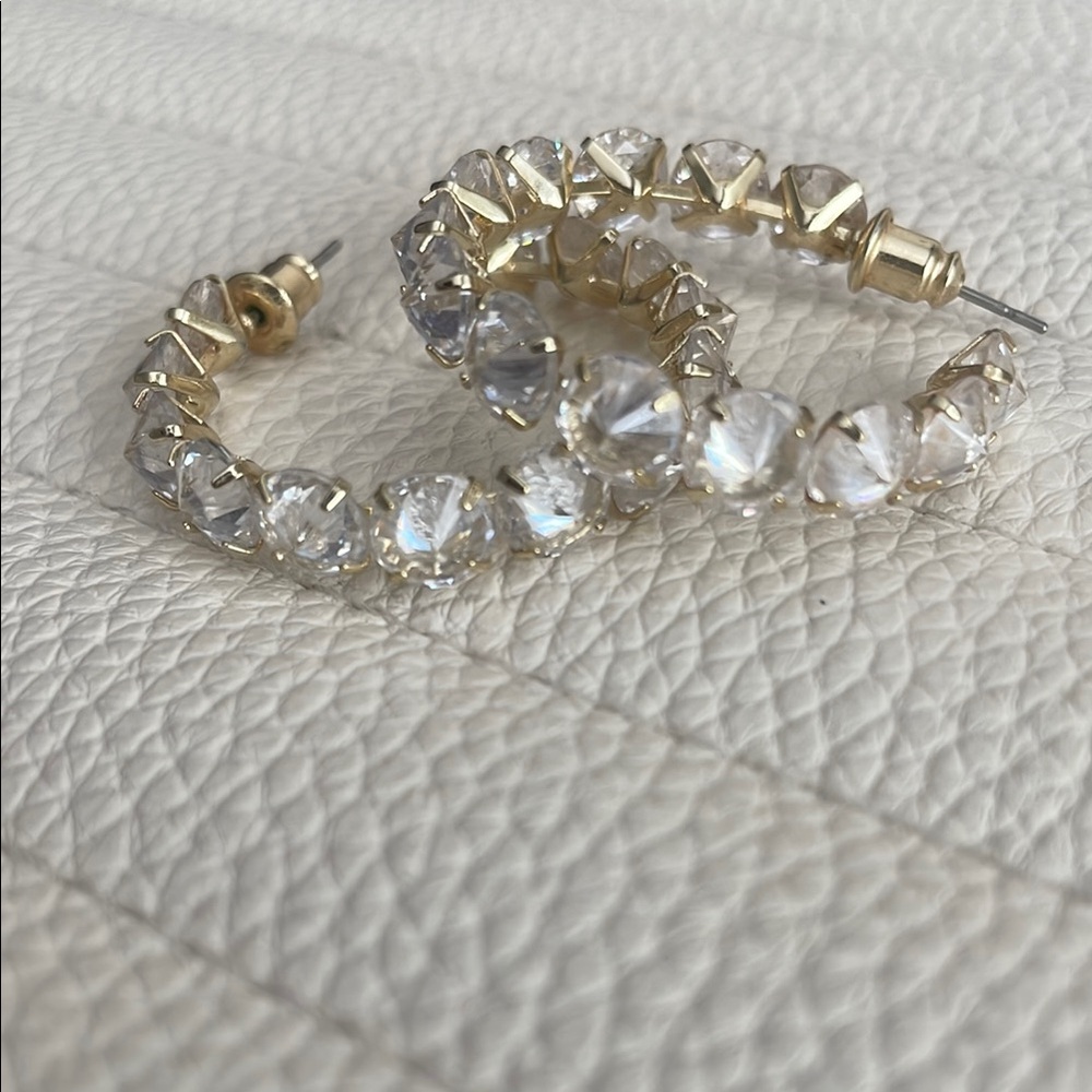 Elegant Gold and Silver Hoop Earrings